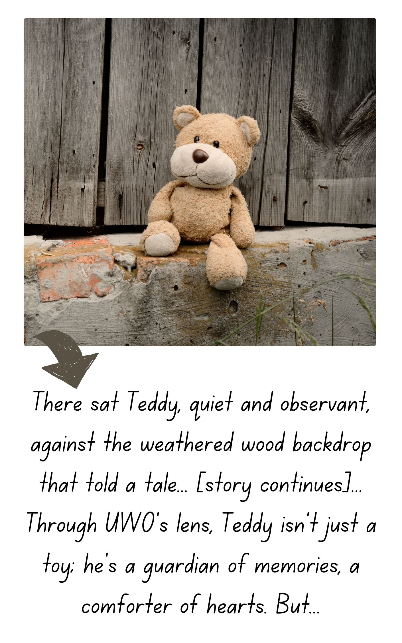 A captivating story about my Teddy Bear